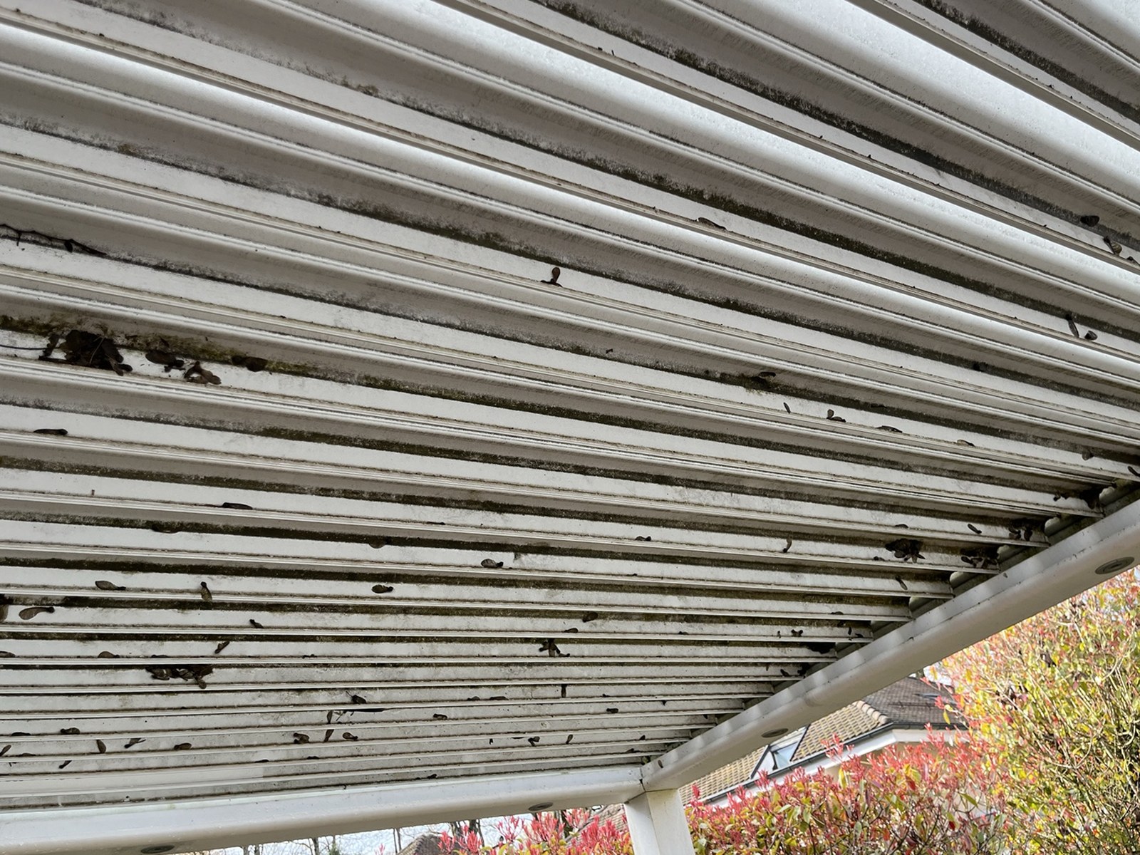 Pergola bioclimatique avant intervention